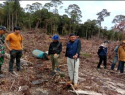 Aktivitas PETI di Gunung Asuansang Digagalkan Patroli BKSDA Kalbar
