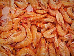 Hanya 10 Persen Pelaku Tambak yang Kantongi Izin