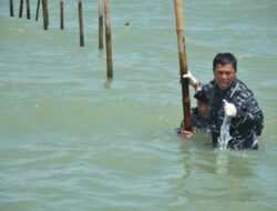 Polri Duga Ada Keterlibatan Pihak Lain di Kasus Pagar Laut Tangerang