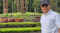 MENATA ULANG PILKADA