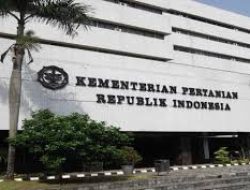 Proyeksi Ekspor Sawit 2025 Capai USD 28,5 Miliar, Kementan Perkuat Hilirisasi