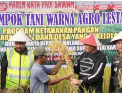 Panen Raya Maret 2026: Stok Beras di Gudang Bulog Melimpah, Diprediksi Tembus 5 Juta Ton