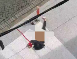 Terjatuh dari Lantai Tiga Tempat Gym, Wanita Muda di Pontianak Tewas Bersimbah Darah