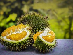 Pemkab Sanggau Bakal Gelar Kontes Durian dan Bonsai