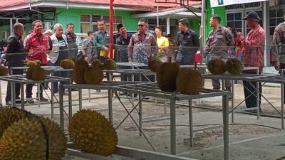 Pj Bupati Sanggau Buka Kontes Durian dan Bonsai
