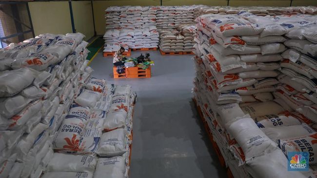 Data mengejutkan: 29.000 ton beras Bulog turun mutu dan 1,45 juta ton menumpuk di gudang. Simak alasan dan langkah pemerintah mengatasinya. (Dok. Ist)
