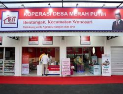 Koperasi Desa Merah Putih Jadi Penyalur Tunggal Subsidi, Targetkan Laba Rp597 Juta per Desa