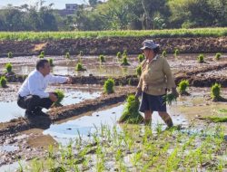 Sidak Persawahan di Semarang, Mentan Amran Hadiahi Traktor usai Dengar Curhat Ibu-Ibu Petani